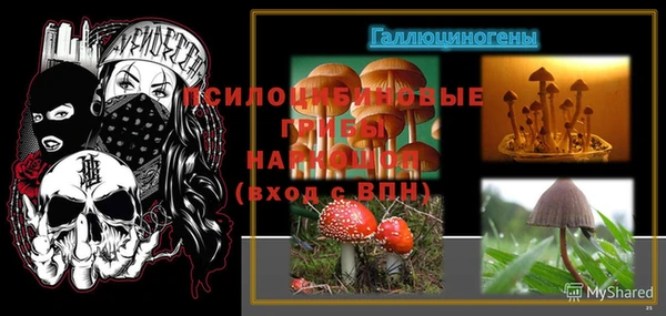 MDMA Бородино