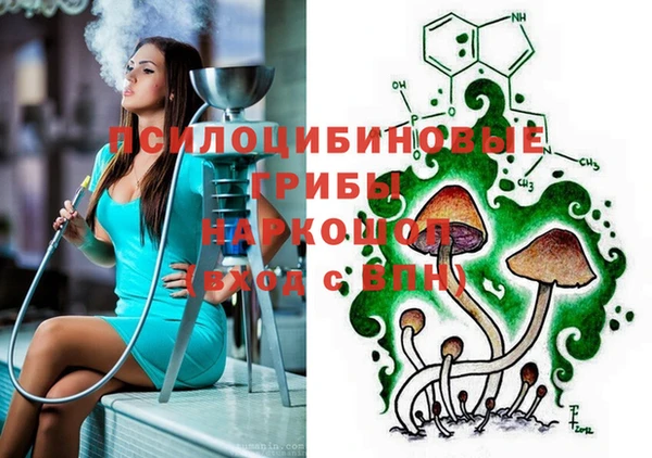 экстази Богородицк