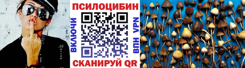 Псилоцибиновые грибы GOLDEN TEACHER  закладка  Дальнереченск 